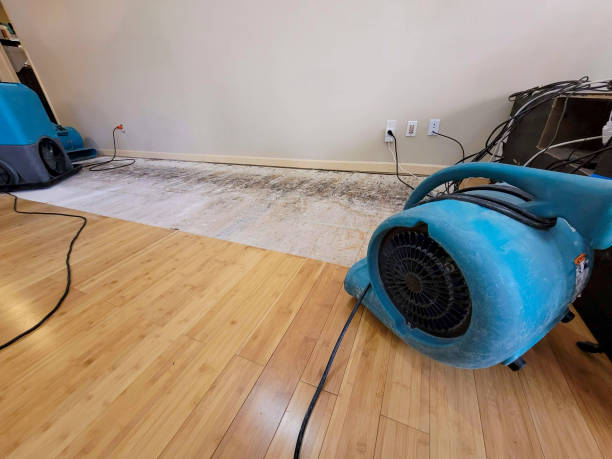 Professional Water Damage Repair technician working in Barnesville, OH